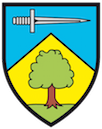 BLASON-129-x-129