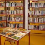 GRAND DEBALLAGE BIBLIOTHEQUE