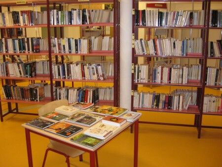 bibliotheque-06-450x338