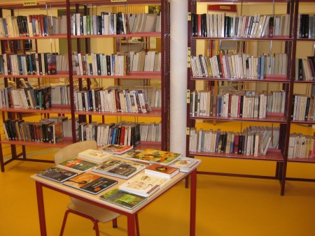 GRAND DEBALLAGE BIBLIOTHEQUE