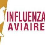 Prévention de l’influenza aviaire