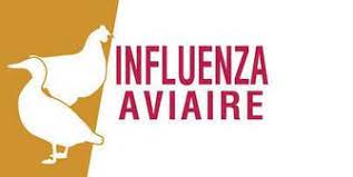 Prévention de l’influenza aviaire