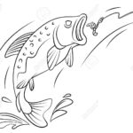 Pêche à la truite : étang de Colnand