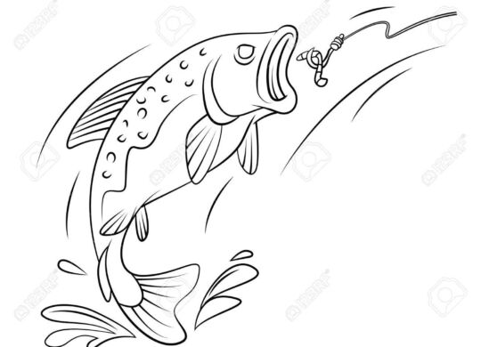 33009736-pêche-à-la-truite-poisson