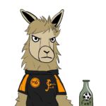 Soirée dansante vétérans foot