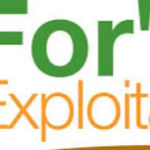 Chantier de broyage forestier